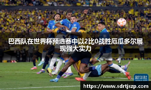 VSport胜利因您更精彩